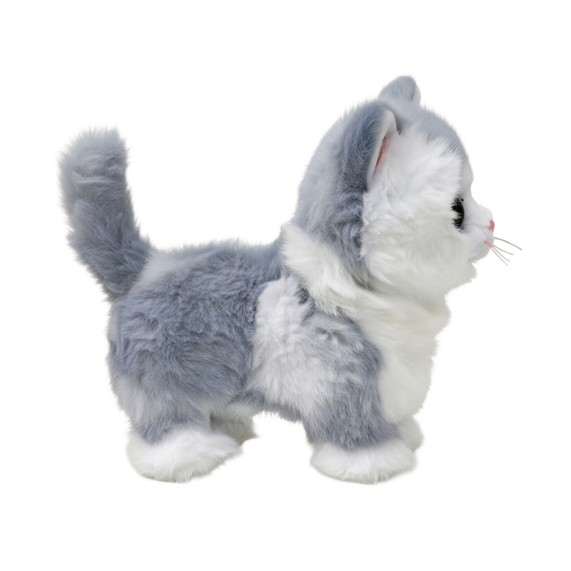 Furley - US 8856