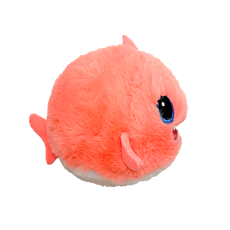 Reef - US 6257