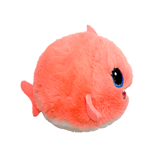 Reef - US 6257