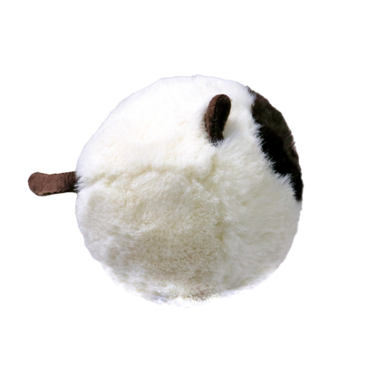 Sammy - US 6844