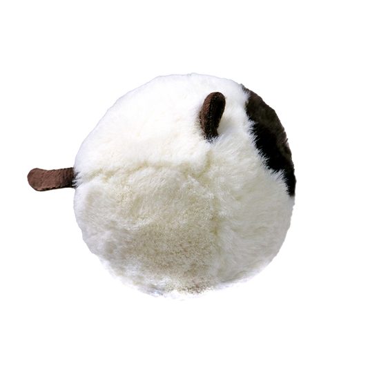 Sammy - US 6844