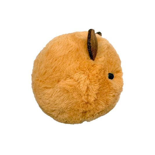 Barry - US 9312