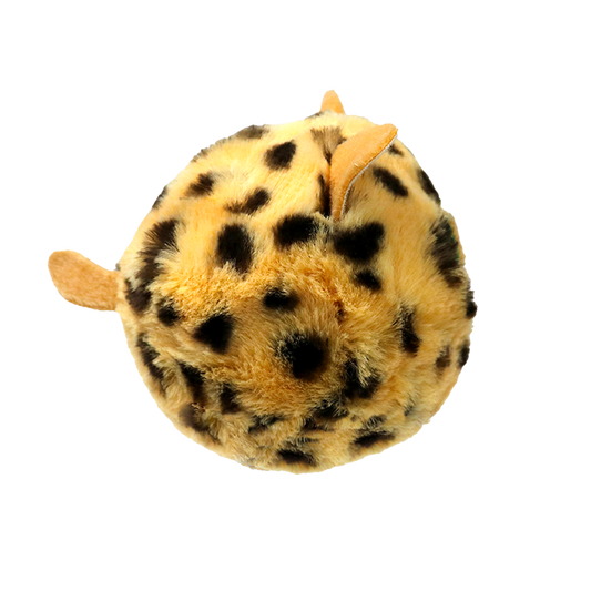 Spots - US 2657