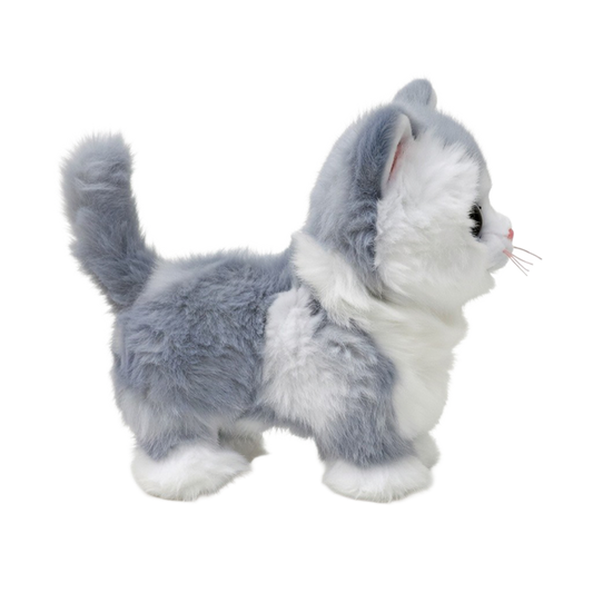 Furley - US 8856