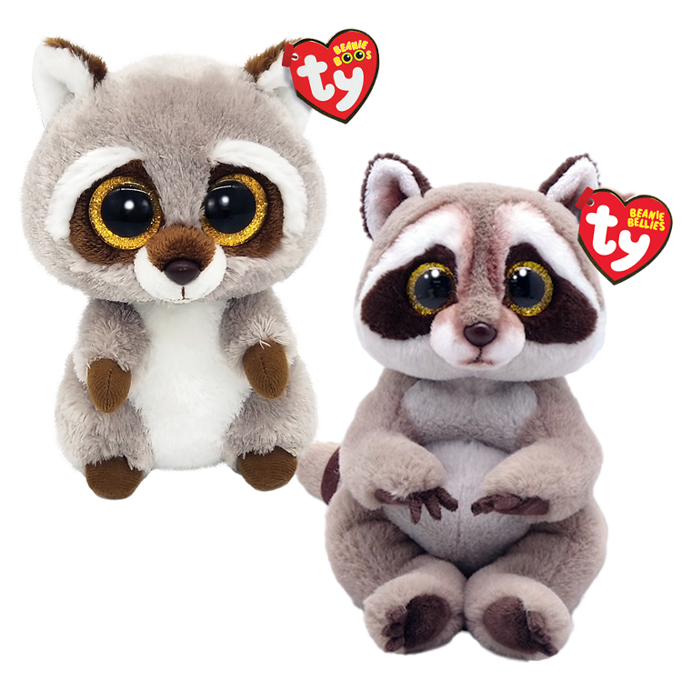 Raccoon Duo - US 4931